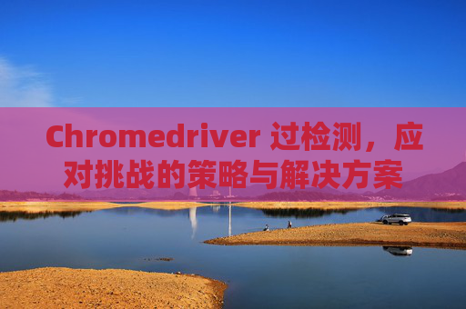 Chromedriver 过检测，应对挑战的策略与解决方案