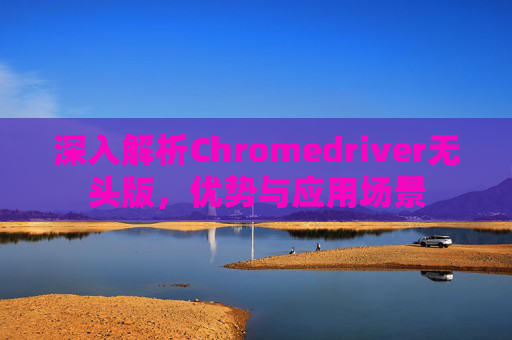 深入解析Chromedriver无头版，优势与应用场景